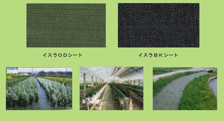 𥷡 OD ʥ꡼ 1100m ɻ ̳ƻ졦ΥӸ