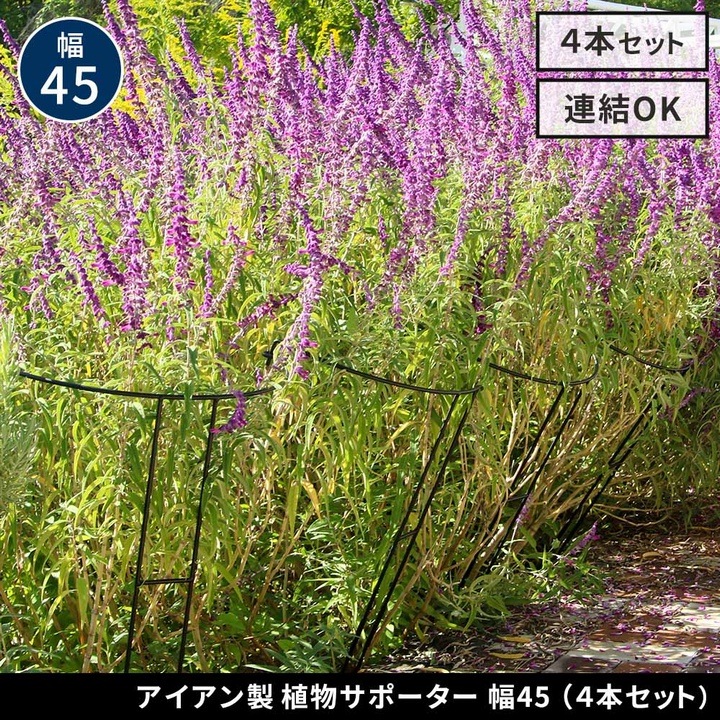 ���� ��� Ⱦ�� ������������ʪ���ݡ�������45 [4�ܥ��å�] (IF-N0047-4P) ���̳�ƻ�����졦Υ�������Բ�