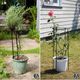 ���� ��� Ⱦ�� ������������ʪ���ݡ�������45 [4�ܥ��å�] (IF-N0047-4P) ���̳�ƻ�����졦Υ�������Բ�