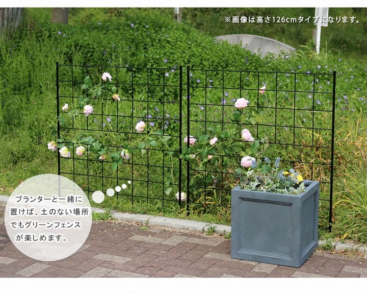 アイアンフェンス 高さ75cm グラフ 4枚組 (IF-GR021-4P-BLK) ※北海道