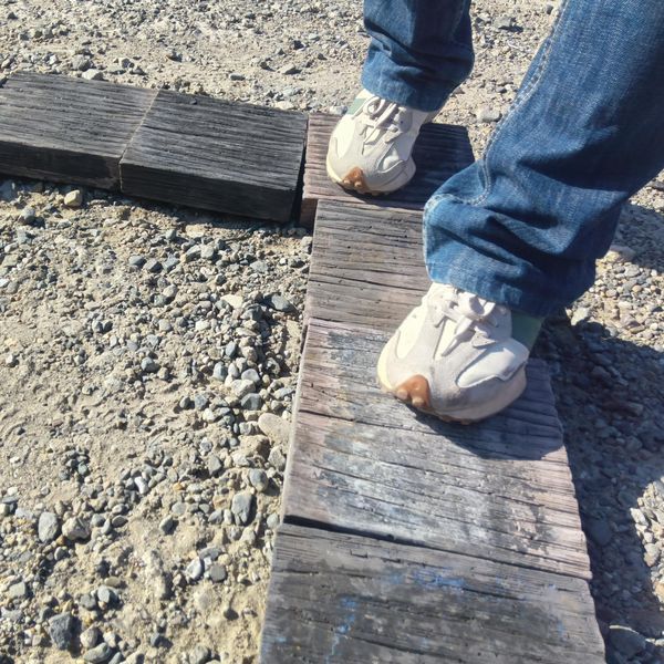 ��������ۥ꡼�٤Υꥢ�륳�󥯥꡼������2 �������֥饦�� T45��W210��L210mm ����4.2kg�� ���� ���ƥåץ��ȡ��󢨺߸˰���