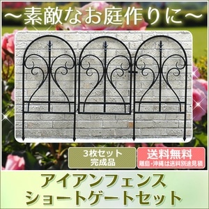 ��������ե��� �ե��˥��� �����ȥ��å� �֥�å� ���������ե��� �ȥ�ꥹ �� IPN-7031G ���̳�ƻ��3000��