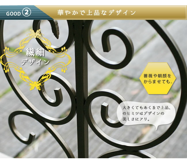 �����ǥ󥢡��� �������󥢡��� ���ƥ٥å� �֥��󥺥��顼 SST-IPN-7973 ���̳�ƻ��3000��