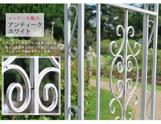 �����ǥ󥢡��� �������󥢡��� ���ƥ٥å� �֥��󥺥��顼 SST-IPN-7973 ���̳�ƻ��3000��