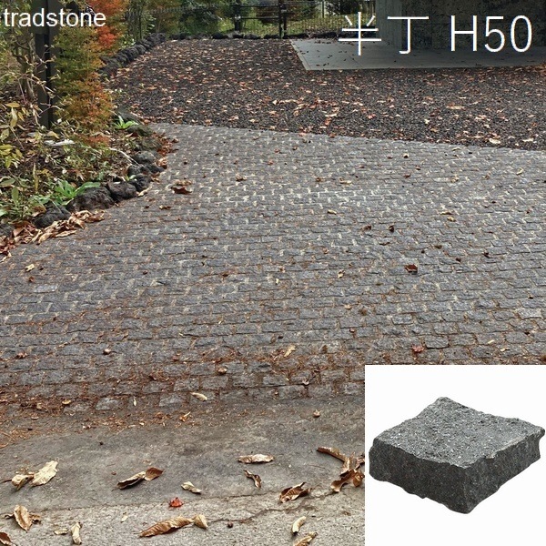 �������к� �ȥ�åɥ��ȡ��� 90��90��50mm ������ Ⱦ�� H50 ��־�� ��� �ڴ������ۡ��������ѡ�