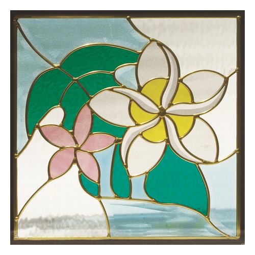 ���ƥ�ɥ��饹 (SH-E12) 300��300��18mm �ǥ����� �� �ԥ奢���饹 ����3kg�� ������Բ�