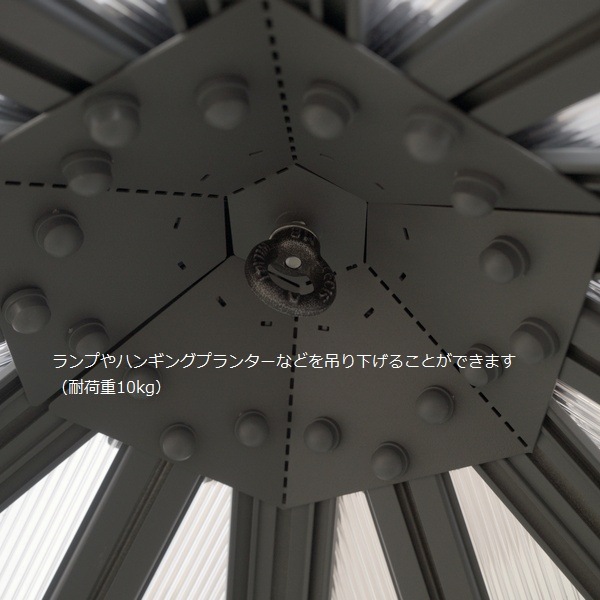  ѥ  졼 245߱212cm ϻѷ ꡼ϥ Palram Canopia ̳ƻ+3000 졦ΥӸ