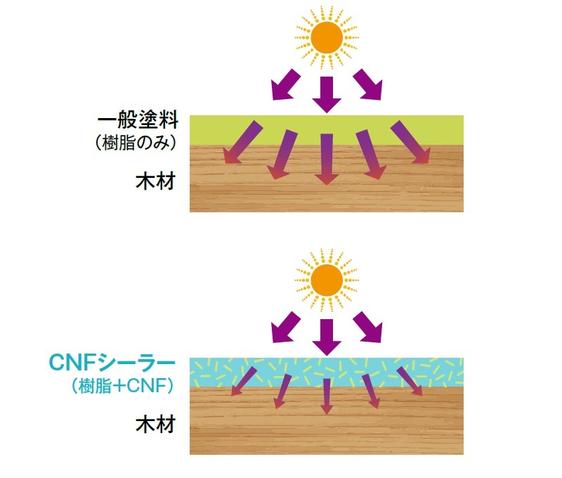 ���ɤ�� �������� CNF�����顼 4L �������ع���