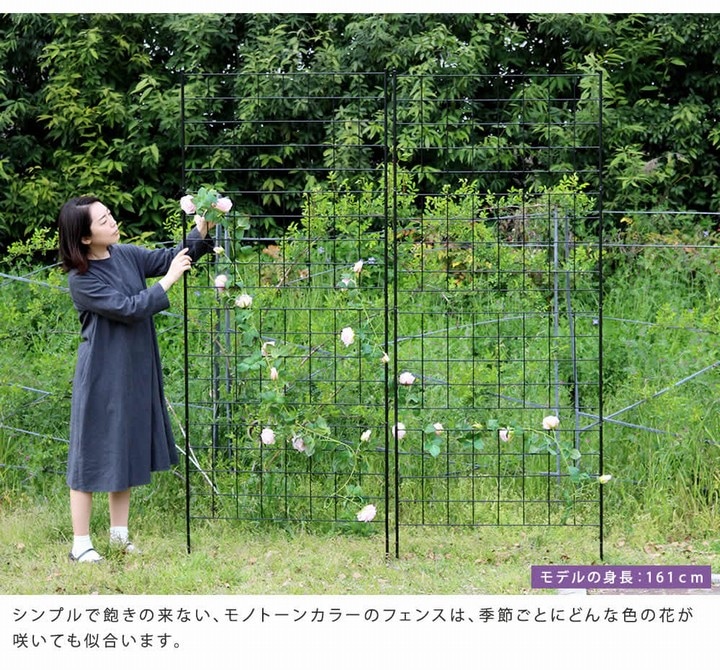 アイアンフェンス 高さ226cm グラフ 1枚 (IF-GR024-1P-BLK) ※北海道