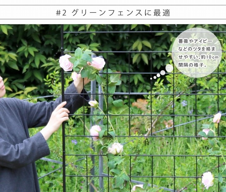 アイアンフェンス 高さ226cm グラフ 1枚 (IF-GR024-1P-BLK) ※北海道