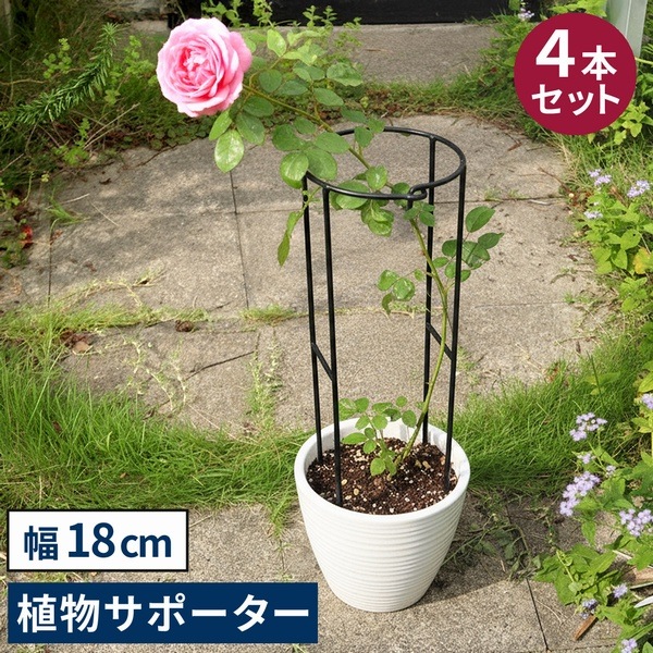 ���� ��� Ⱦ�� ������������ʪ���ݡ�������18 [4�ܥ��å�] (IF-N0050-4P) ���̳�ƻ�����졦Υ�������Բ�