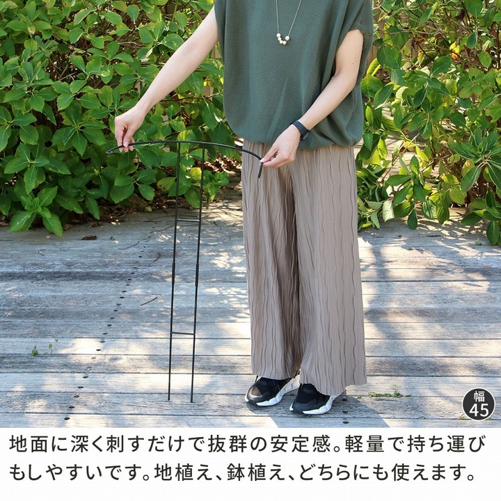 ���� ��� Ⱦ�� ������������ʪ���ݡ�������18 [16�ܥ��å�] (IF-N0050-16P) ���̳�ƻ�����졦Υ�������Բ�