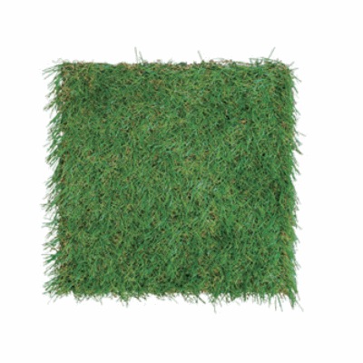 ϥǥåɡ֤͹ǡ꡼ HI-GR3030-M-5