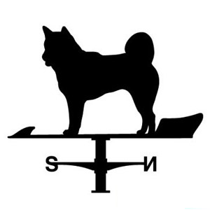 ������ �� ���ƥ�쥹�� ���Ĥ�ä� KZSS-��2 �ʵ���A�����ס�