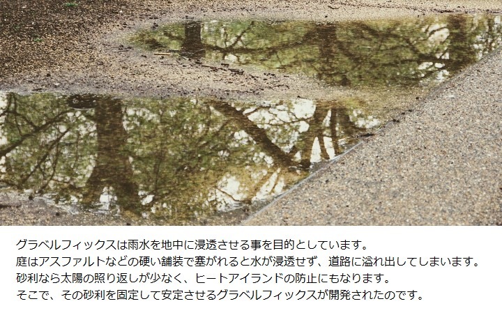 ����٥�ե��å��� �ץ� 10�祻�å� �������װ���� ���������� ��9ʿ�� ���졼 BERA Ʃ����