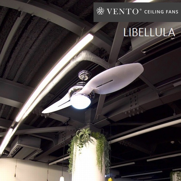 ������󥰥ե��� VENTO ��٥롼�� ���Ρ��ۥ磻�� [VF-LB54CH-WH] ��⥳���� �������å��� ��4��7����