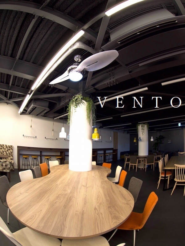 ������󥰥ե��� VENTO ��٥롼�� ���Ρ��ۥ磻�� [VF-LB54CH-WH] ��⥳���� �������å��� ��4��7����