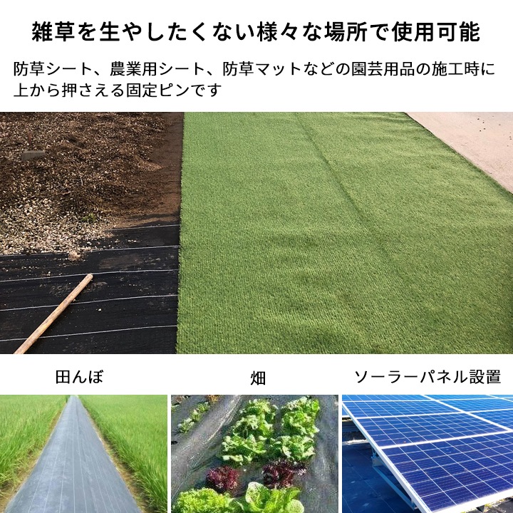 ȸԥ󥻥å100ܥå ʲå㡼ա