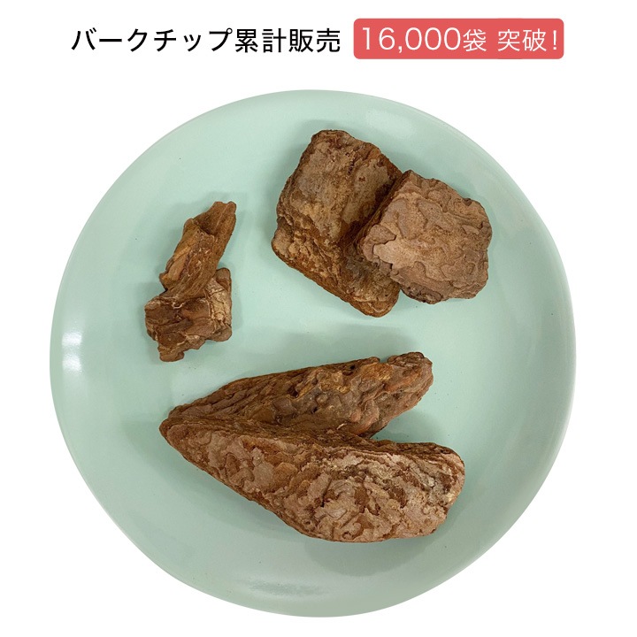 �ѥ���С������å� 50��åȥ� �ӥ����� 5�ޥ��å� ��5ʿ��ʬ��