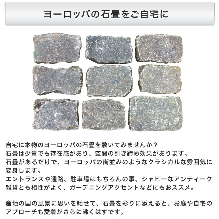  о ڥӥ󥰥ȡ ٥륮 ƥ ٥른󡦥饤 Ĺ 1ʿ (75.0kg) -ٲ