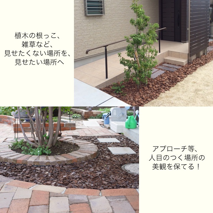 ѥСå 50åȥ ͥ 5ޥå 5ʿʬ