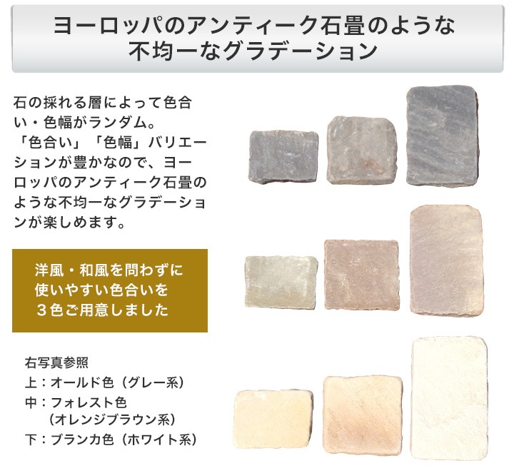  о ڥӥ󥰥ȡ ƥå L ե쥹 1ñ (1.4kg) -ٲ
