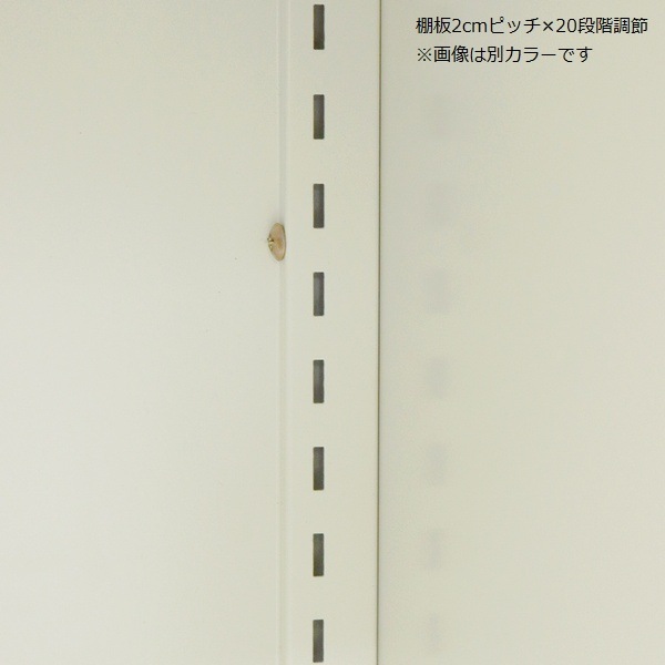ʪ  ⡼ (졼ȥ졼/ѡ륰졼) SED-001 ̳ƻ+1650