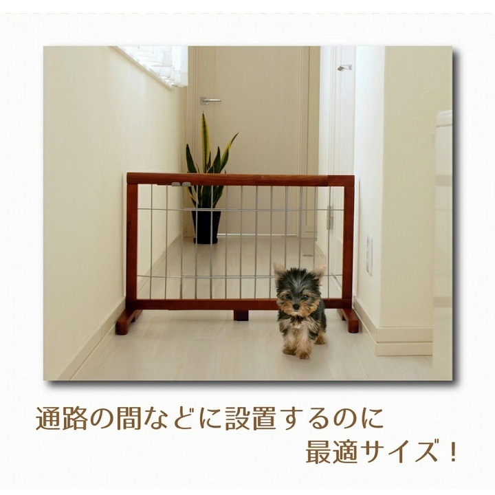 �֤����� �������̥ڥåȥ����� �⤵50cm ��67��116cm �ۥ磻��/�ۥ磻��  (JPG-65��WH/WH��) �����졦Υ�������Բ�