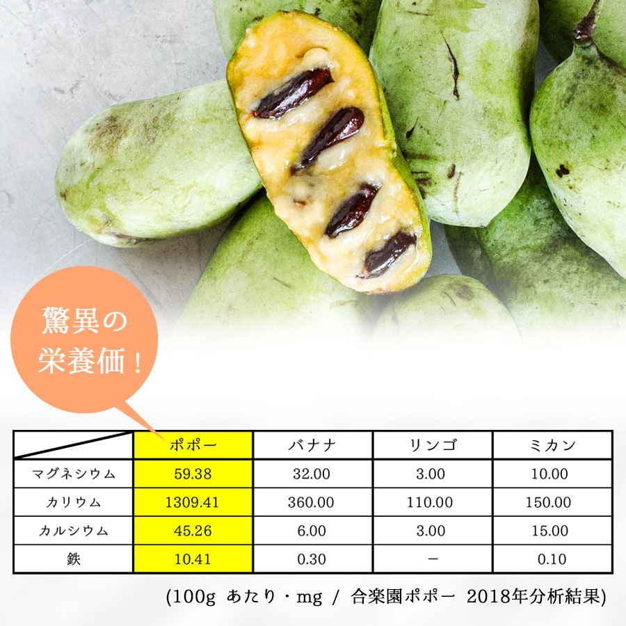 オーガニック栽培でつくった【幻の果実】ポポーの飲むお酢 200ml（無香料・無着色・保存料不使用）【3個入】【送料無料】