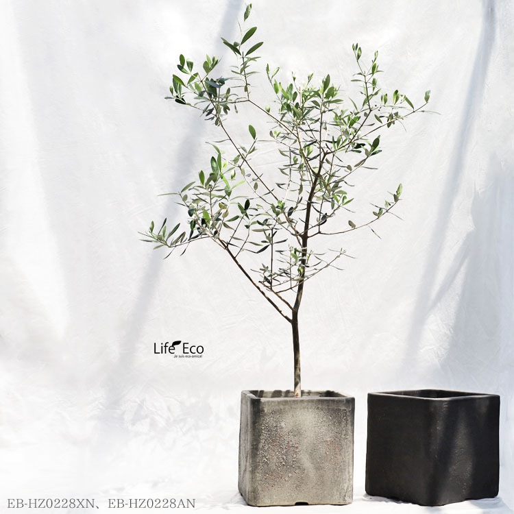 植木鉢 テラコッタ製 ハウズ（HOUZ） スクエアー（キューブ） アンティークライトグレー（灰色） / □28cm×H28cm（9号）【送料E】