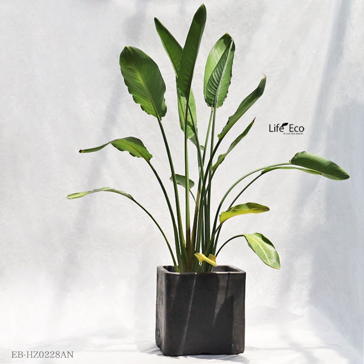植木鉢 テラコッタ製 ハウズ（HOUZ） スクエアー（キューブ） アンティークライトグレー（灰色） / □28cm×H28cm（9号）【送料E】