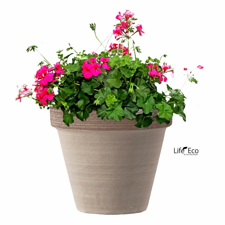 植木鉢 イタリア製 素焼き テラコッタ鉢 スタンダードポット コーヒースクラッチM ブラウン 茶 27cm（9号）【送料E】