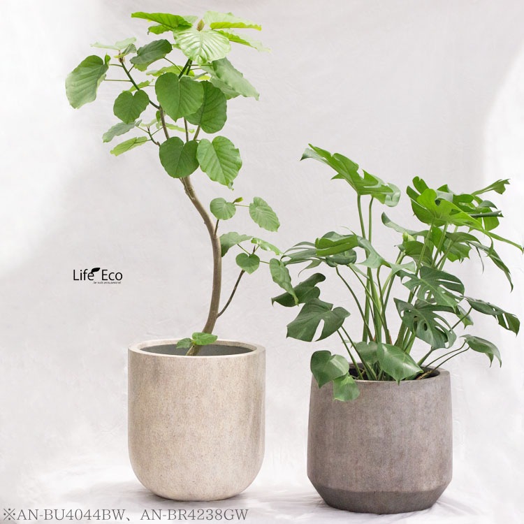 植木鉢 大型 ファイバーセメント製 ベルベット Uポット ベージュウォッシュ（クリーム） / φ40cm×H44cm（13号）【送料E】