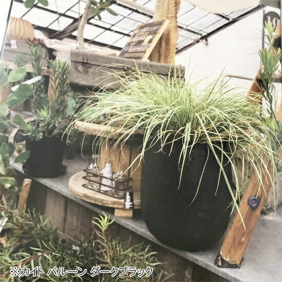 植木鉢 テラコッタ（素焼鉢）カイト バルーン ダークブラック 黒 φ24cm×H28cm（8号 8寸）【送料E】