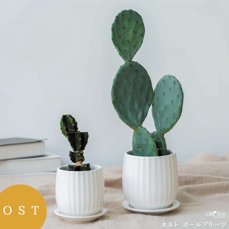 植木鉢 釉薬陶器製 インテリアポット オスト ボールプリーツ マットホワイト（白） / φ11cm×H12cm（4号）【送料B】