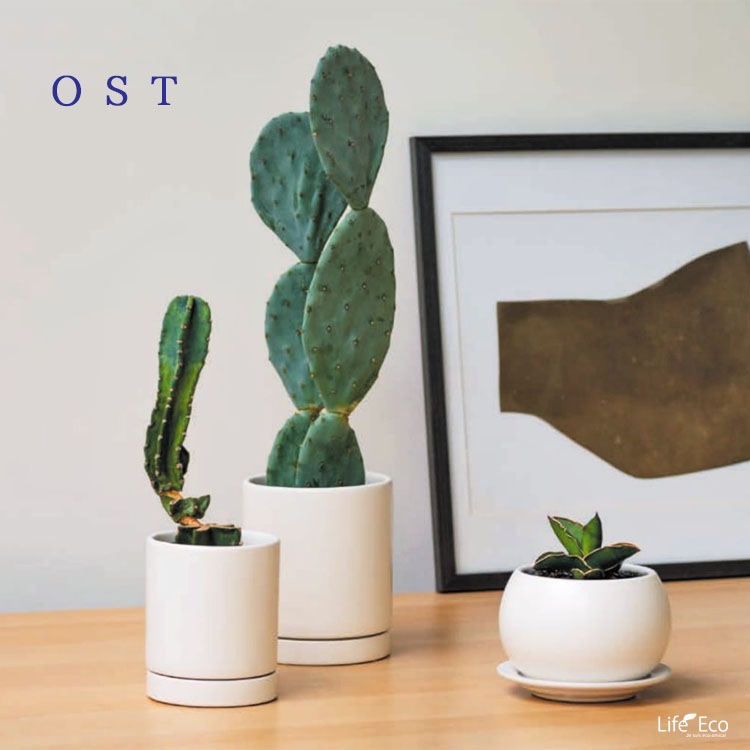 植木鉢 釉薬陶器製 インテリアポット オスト ボールプリーツ マットホワイト（白） / φ11cm×H12cm（4号）【送料B】