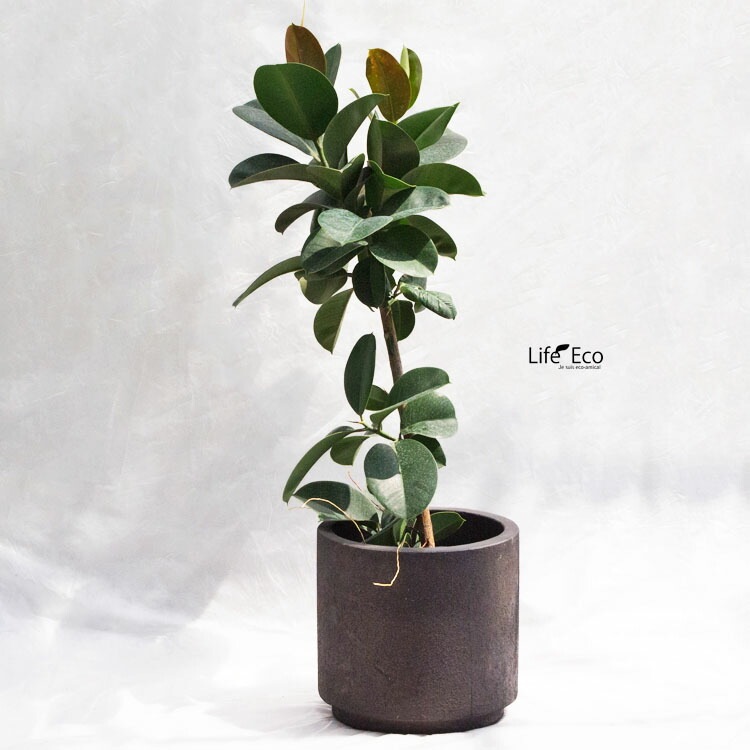 植木鉢 大型 デッカー シリンダー ダークグレー（ブラック・黒） φ40cm×H40cm（13号）【送料E】
