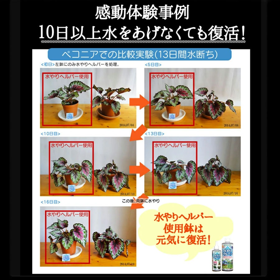 旅行 出張 不在 植物管理 水やり自動 らく 水やり当番 水やり回数半減 水やりヘルパー　200ml お手軽タイプ／植物用土壌保水剤 保湿材【送料L】