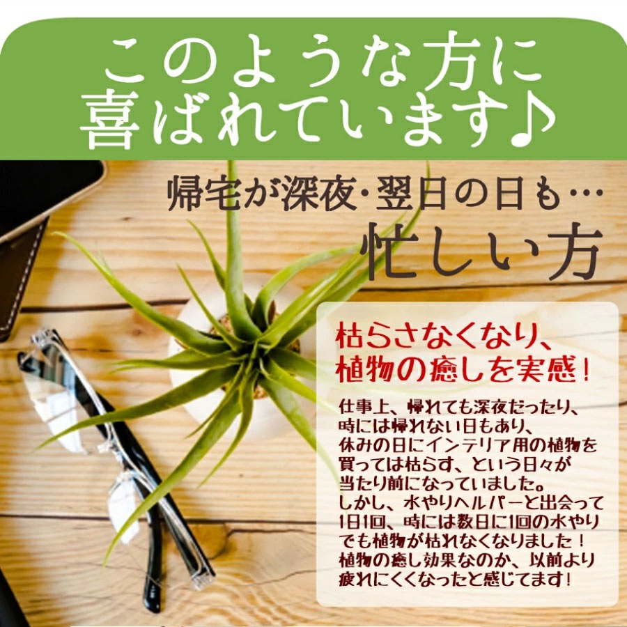 旅行 出張 不在 植物管理 水やり自動 らく 水やり当番 水やり回数半減 水やりヘルパー　200ml お手軽タイプ／植物用土壌保水剤 保湿材【送料L】