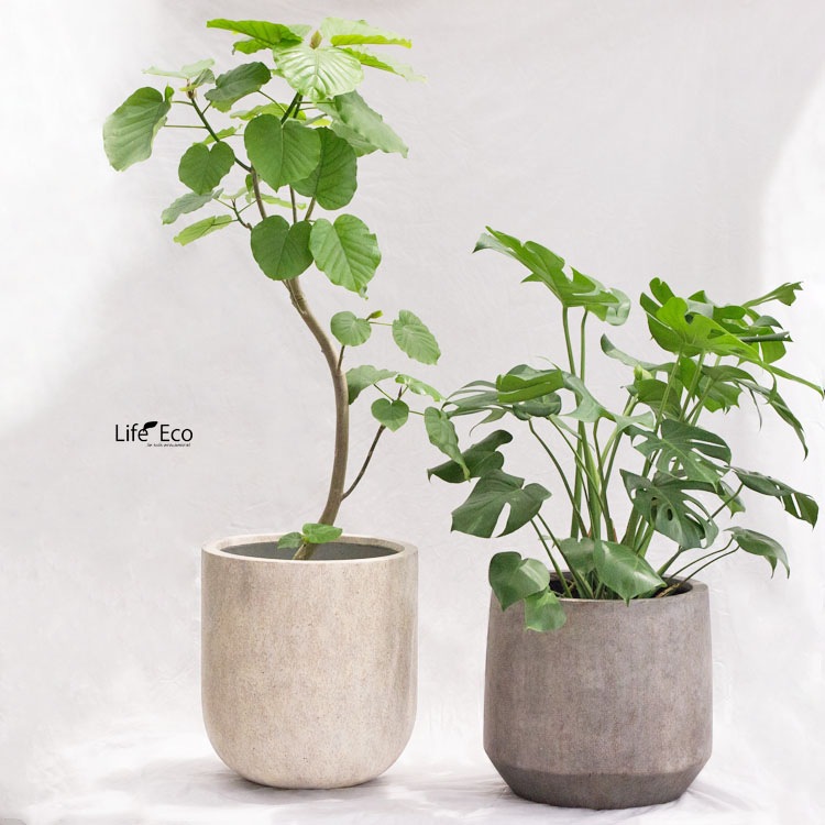 植木鉢 大型 ファイバーセメント製 ベルベット Uポット グレーウォッシュ / φ40cm×H44cm（13号）【送料E】