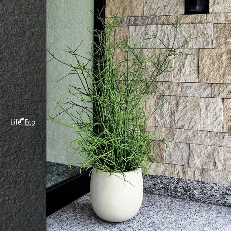 テラニアスバルーン アンティークホワイト 鉢カバー 観葉植物 35cm 楽天市場】【1日はP7倍！】【鉢カバー】テラニアス バルーン（8