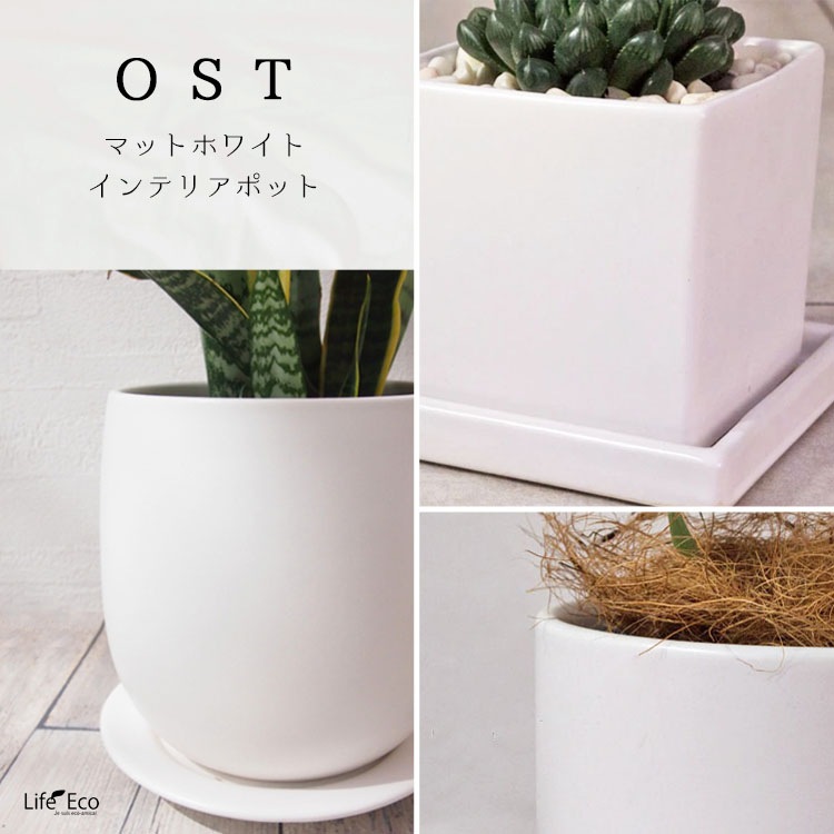植木鉢 釉薬陶器製 インテリアポット オスト ボール マットホワイト（白） / φ11.5cm×H12cm（4号）受皿付【4個入】【送料D】