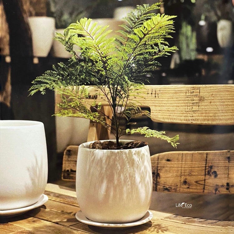 植木鉢 釉薬陶器製 インテリアポット オスト ボール マットホワイト（白） / φ11.5cm×H12cm（4号）受皿付【4個入】【送料D】