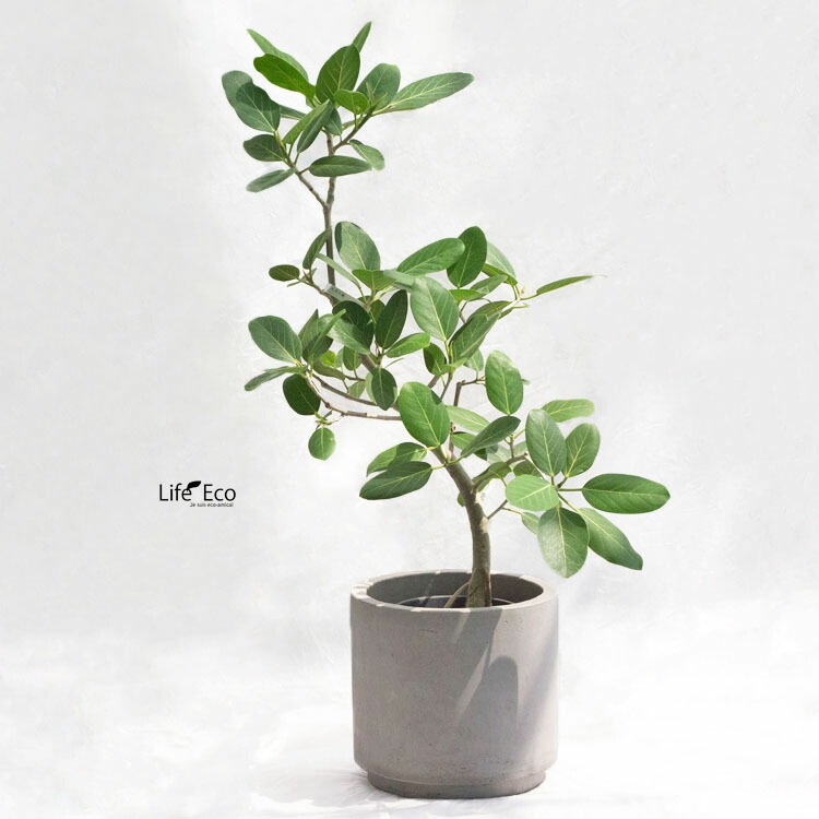 植木鉢 大型 デッカー シリンダー ナチュラル（グレー・灰） φ40cm×H40cm（13号）【送料E】