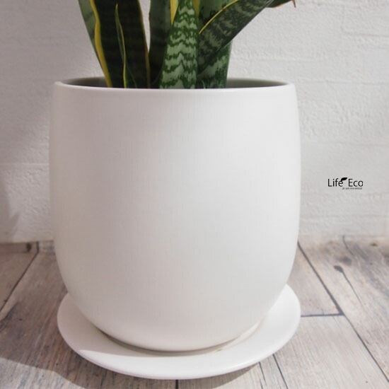 植木鉢 釉薬陶器製 インテリアポット オスト ボール マットホワイト （白）皿付 φ20cm×H20.5cm（7号）【4個入】【送料E】