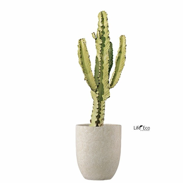 植木鉢 ファイバーセメント製 おしゃれ フォリオ アルトエッグ クリーム（ベージュ）φ43cm×H50cm（14号）【送料F】