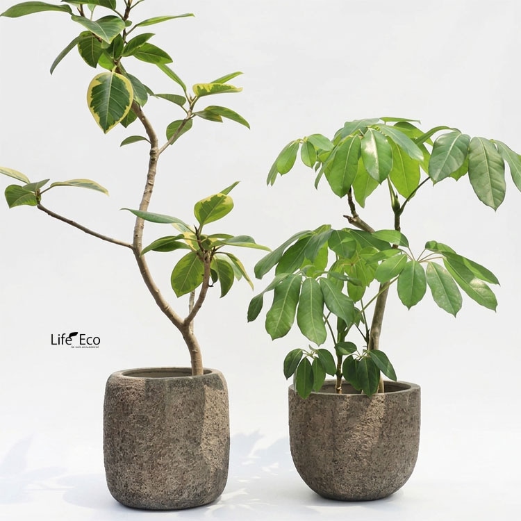 植木鉢 大型 軽量 FRP製 ブラックス（BRACKS） バレル アンティーククリーム（アイボリー） φ45cm×H46.5cm（15号・15寸）【送料F】