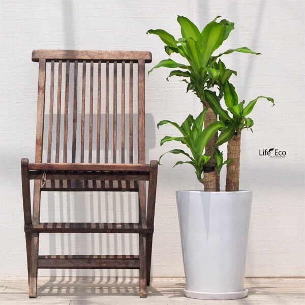 植木鉢 インテリアポット 大型 釉薬陶器製（艶有り・皿付き）SGラウンド ホワイト（白）φ27cm×H36cm（9号）【送料E】