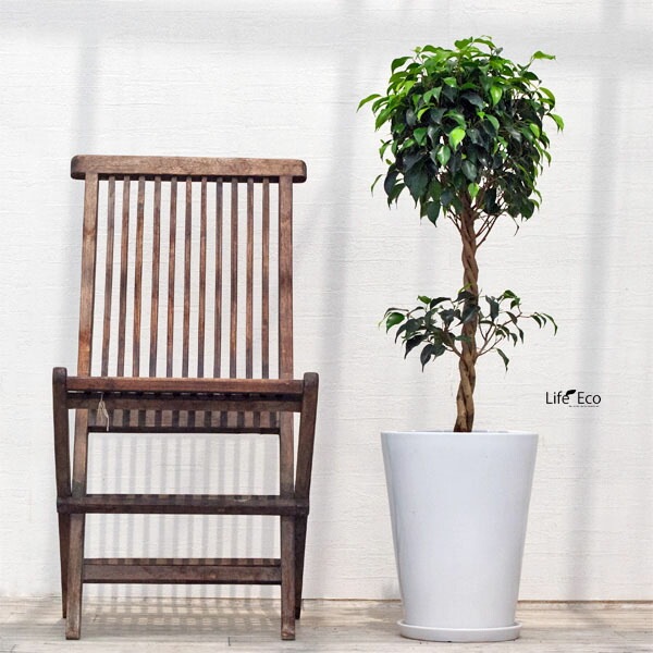 植木鉢 インテリアポット 大型 釉薬陶器製（艶有り・皿付き）SGラウンド ホワイト（白）φ27cm×H36cm（9号）【送料E】