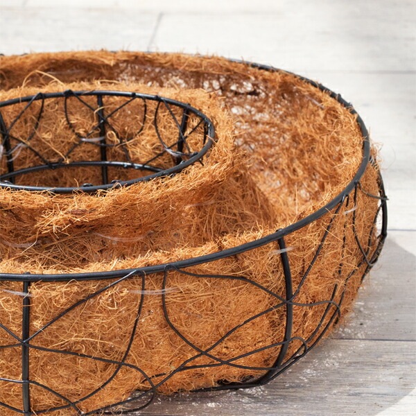 寄せ植え専用 アイアンリースリング ココファイバー付 ブラック M W28×H9.0cm 【送料B】